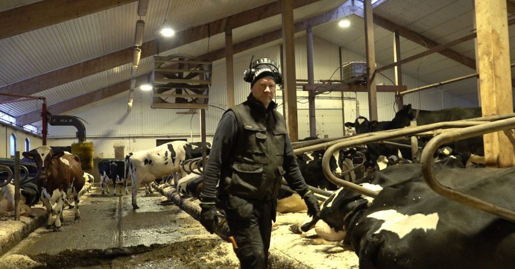 Akut mjölkkris i Norrland med betydande ekonomiska förluster