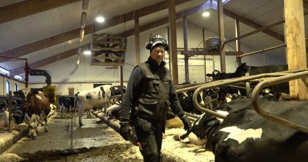 Akut mjölkkris i Norrland med betydande ekonomiska förluster