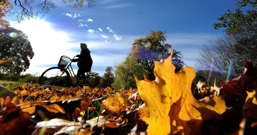 Värmerekord och skyfall i september: ”Ingen slump”