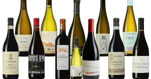 Novemberviner med högsta betyg