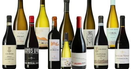 Novemberviner med högsta betyg