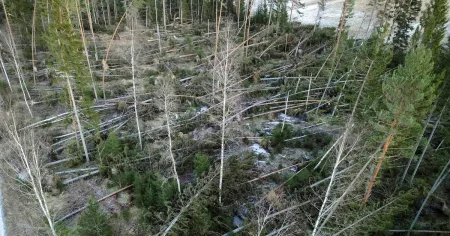 Strömavbrott kan fortgå flera dygn till