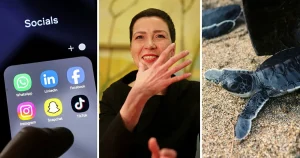 Tio goda nyheter från året som gick