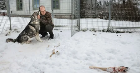 SD vill vinna S-fästen i norr – ”Potential att sno väljare”