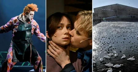 DN:s Anders Haraldsson: Här är de bästa evenemangen i Stockholm just nu