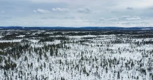 Regeringen kör över kommun – ger gruva grönt ljus