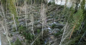 Så mycket får du i ersättning för strömavbrottet