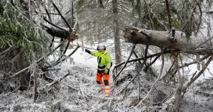 Stormarna lämnade dödsfällor – nu sprängs de bort