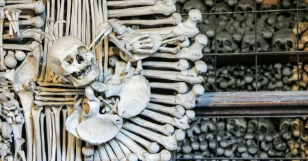 Mörk turism: Sju platser där historien gör ont