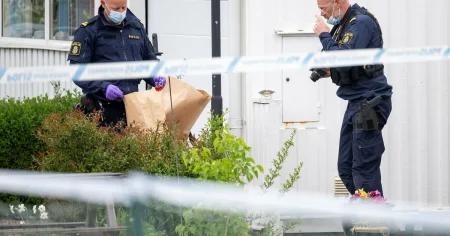 Pensionärspar mördade i sitt hem – den misstänkte minns inte