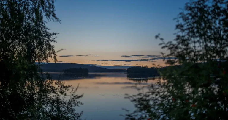 Anita Goldman: Ska vi låta AI dricka upp jordens vatten?