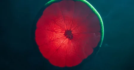 Jens Linder: En mirakulös kombination av fast och flytande