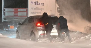 Lisa Magnusson: Epa-gulliganerna räddade en herre i nöd – men de missade det viktigaste