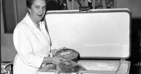 n’Jonas: Frysboxen som hotar världsordningen