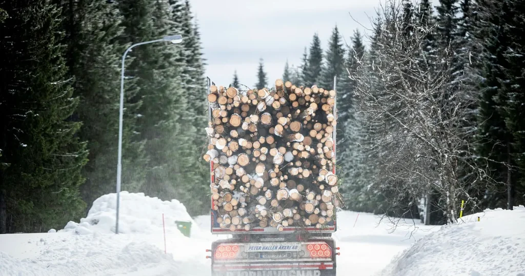 Nestlé slutar köpa träråvara från norra Sverige: ”Kontroverser”