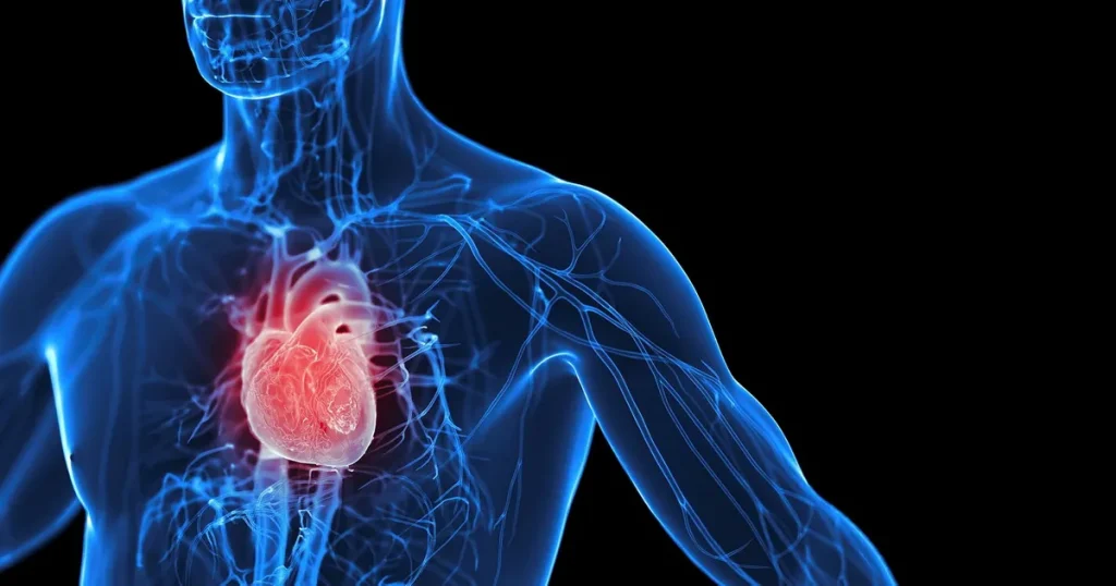 Så kan hjärtat skyddas i decennier