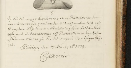 Hon hittade Karl XII:s fältbok – av en slump