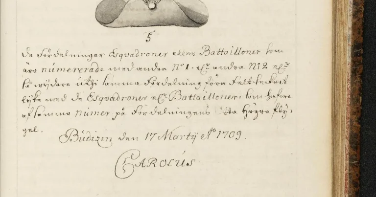 Hon hittade Karl XII:s fältbok – av en slump