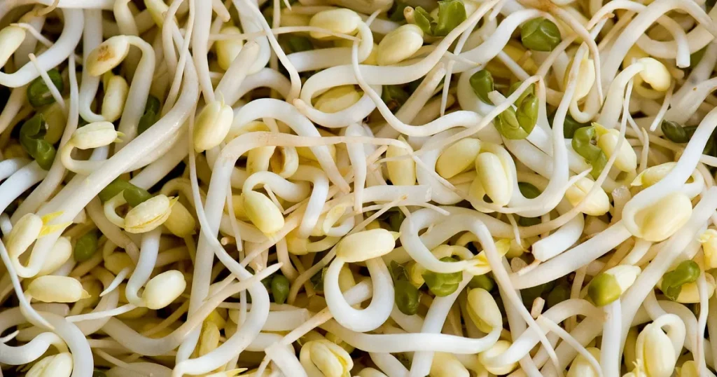 Nadia Jebril: Baljväxter är oxveckornas stjärnor