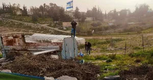 Facit för 2025: Minst 1 800 attacker från bosättare