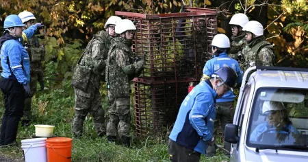 Rekordmånga björnattacker får japanerna att köpa robotvargar