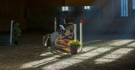 Malin Fransson: Ridsportens framtid är inte hotad för att barn inte får tävla i SM