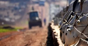 Efter 25 års förhandling: Grönt ljus för massivt frihandelsavtal