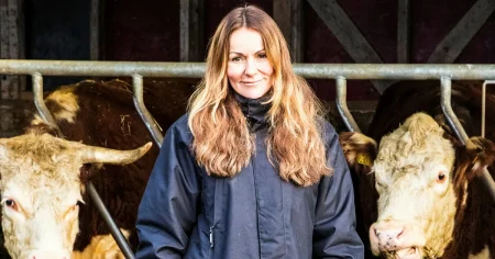 Nötköttbristen kan fortsätta i upp till fyra år