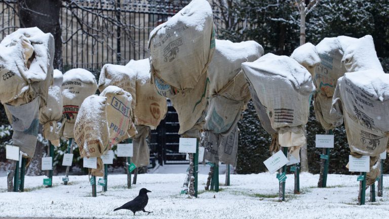 Dödssiffran stiger till sju efter snöstorm i Österrike