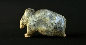 Föregångare till ett skriftspråk redan på stenåldern