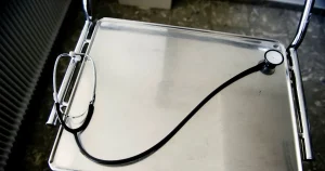 Regionen börjar med AI-journaler – trots avrådan