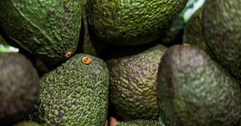 Anders Svensson: Nu får man säga avokados, sambos och containers