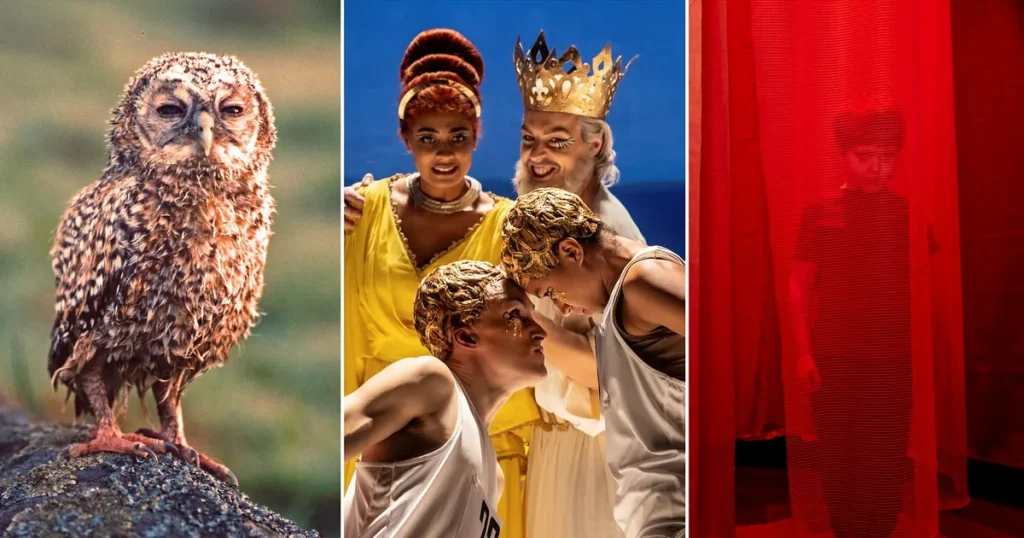 Anders Haraldssson: De bästa evenemangen för en lyckad vecka i Stockholm