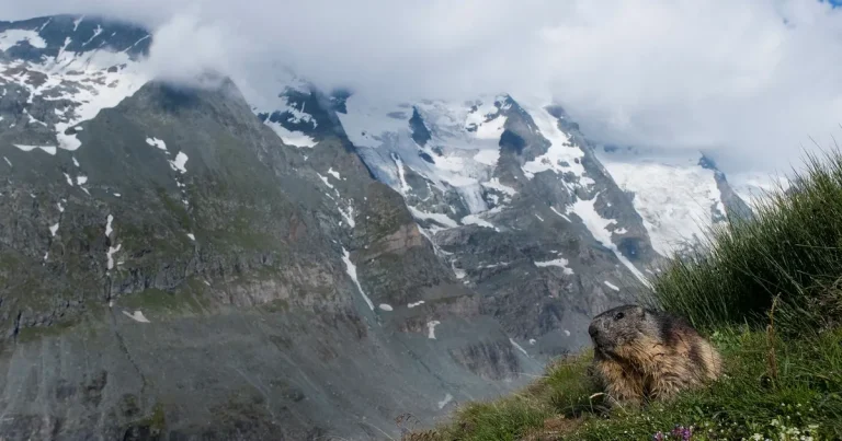 Klättrare övergav exflickvän på samma berg – tre år före domen