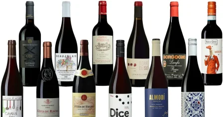 De bästa röda vinerna under 150 kronor