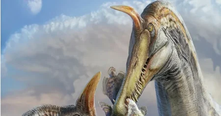 Jättedinosaurie upptäckt i Sahara