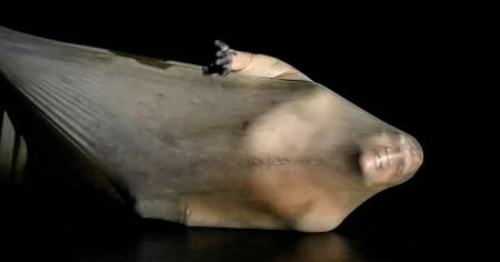 Det finns mycket kraft i ”Frankenstein” för rejvgenerationen