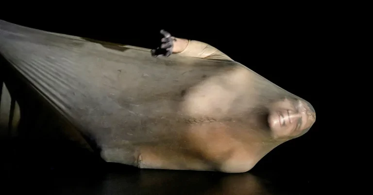 Det finns mycket kraft i ”Frankenstein” för rejvgenerationen