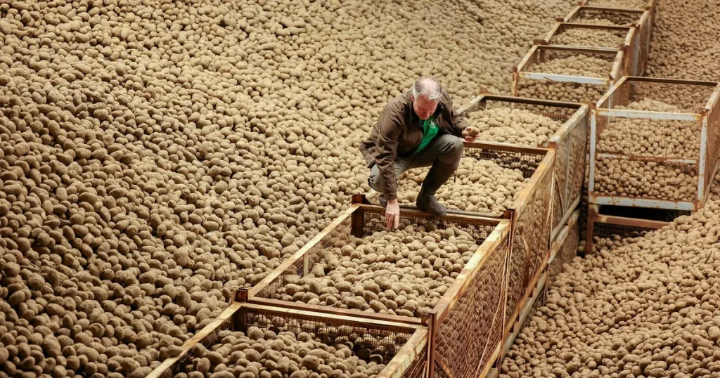 Gratis potatis i Tyskland väcker kritik