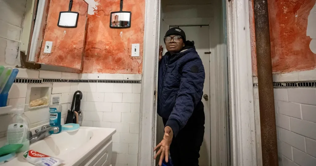 Alla ska ha råd att bo i New York, lovar Mamdani – men är det realistiskt?