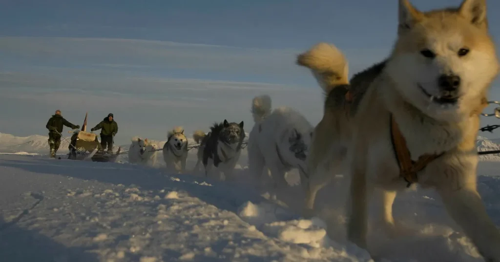 Hånat av Trump – här är Grönlands elithundspann