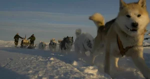 Hånat av Trump – här är Grönlands elithundspann