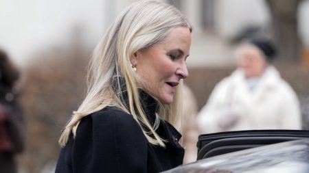 Kronprinsessan Mette-Marit till Epstein: Paris är bra för otrohet