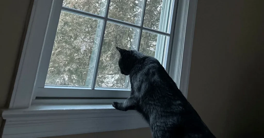 Kalena: Min man försöker alltså droga mig