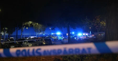 Grovt kriminell gängtopp utlämnad till Sverige