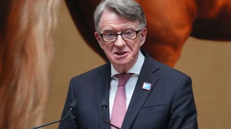 Polisen i London söker igenom hemmen tillhörande Epsteins vän Peter Mandelson