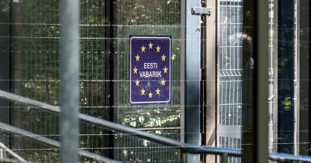 Europa uppmanas skaffa egna ”cybervapen”