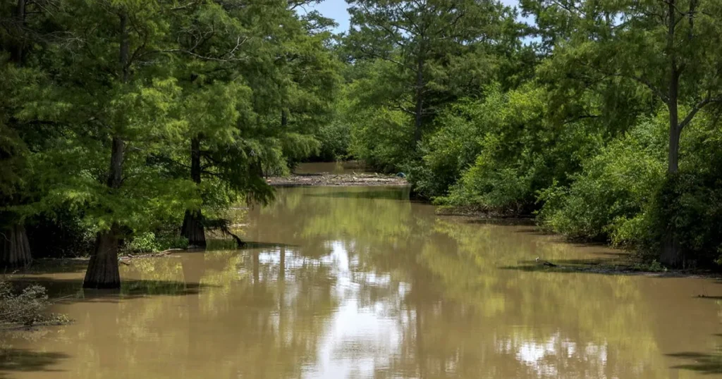 Kalena: Vad jag än gör, kommer Oscarsjuryn efter