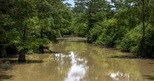 Kalena: Vad jag än gör, kommer Oscarsjuryn efter