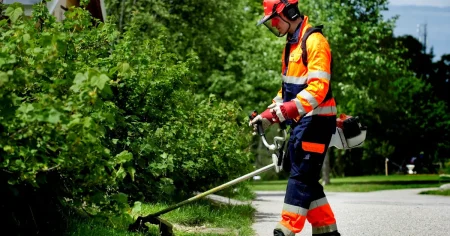 Då stänger ansökningarna till kommunala sommarjobb – stora skillnader